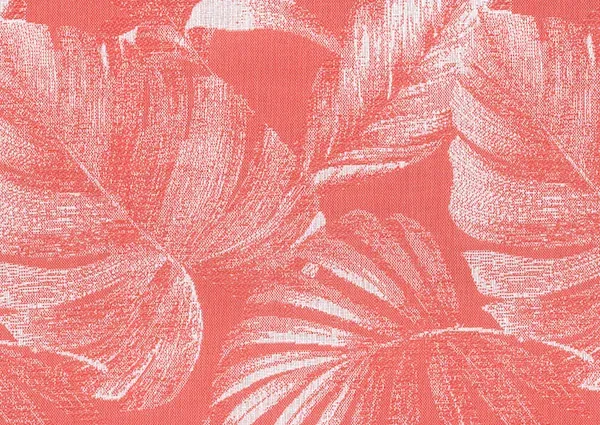 Tahiti gallery