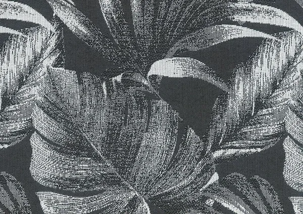 Tahiti gallery