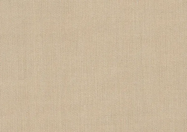 Canvas Grey gallery