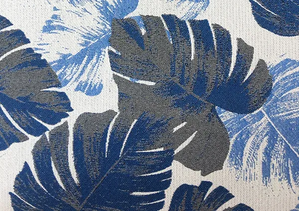 Monstera gallery