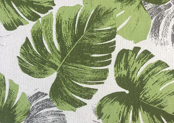 Monstera gallery