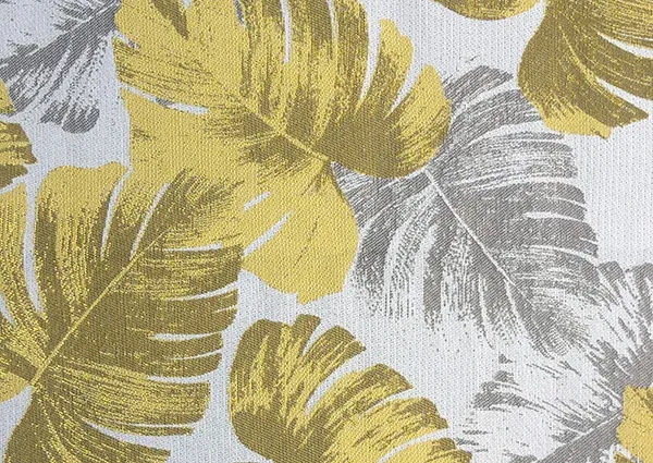 Monstera gallery