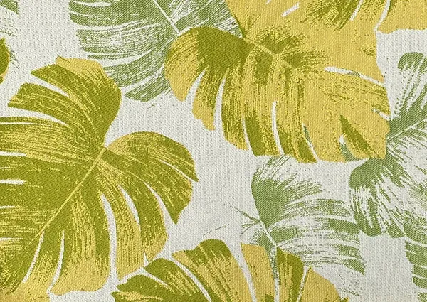 Monstera gallery