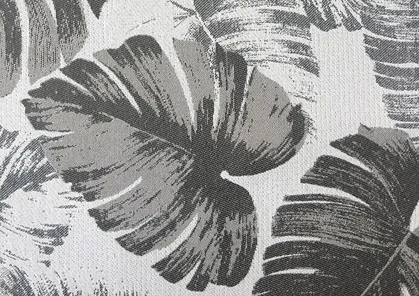Monstera gallery