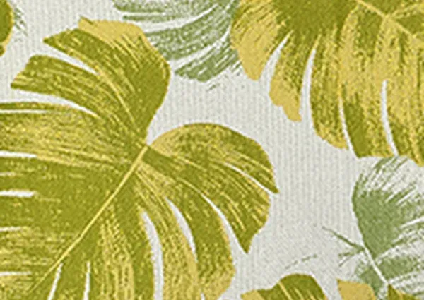 Monstera